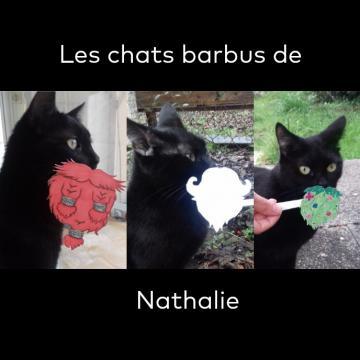 Les chats barbus de Nathalie Del Socorro