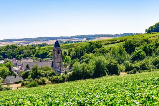 Vignoble de Champagne